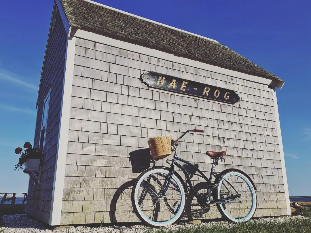 sixthreezero Dreamcycle Single Speed Women's Beach Cruiser Bike