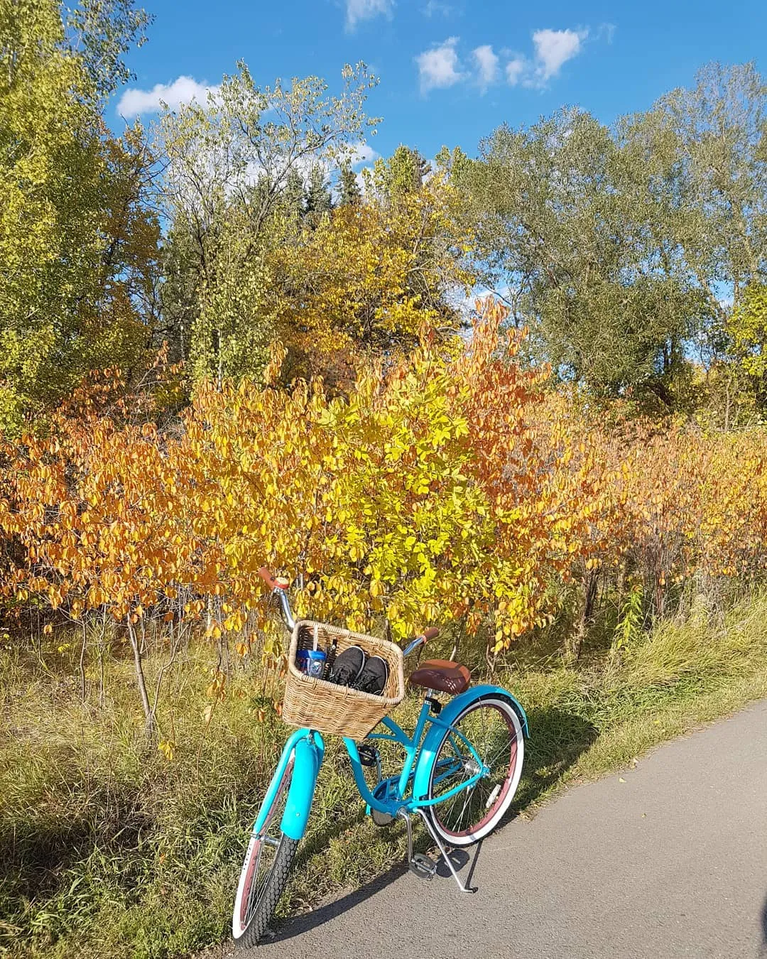 sixthreezero Dreamcycle Single Speed Women's Beach Cruiser Bike